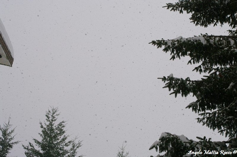 Previsione per il 7 Marzo 2012