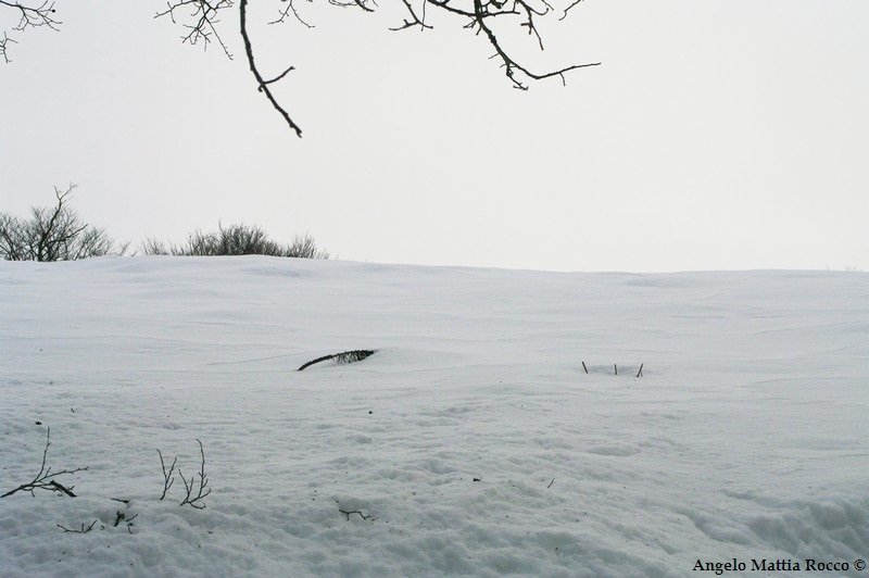 Previsione per il 5 Marzo 2012