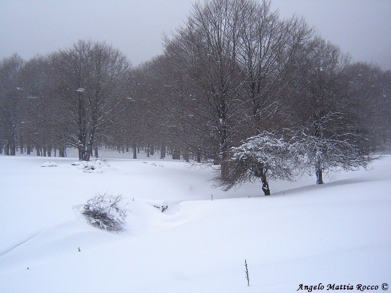 Previsione per il 6 Marzo 2012