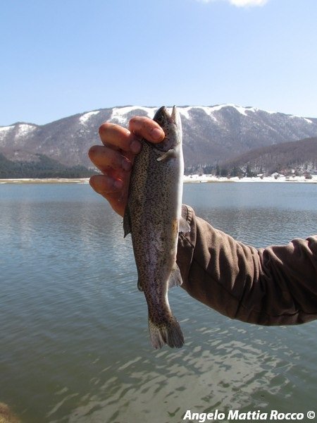 Regolamento pesca al lago Laceno