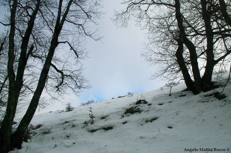 Previsione per il 9 Marzo 2012