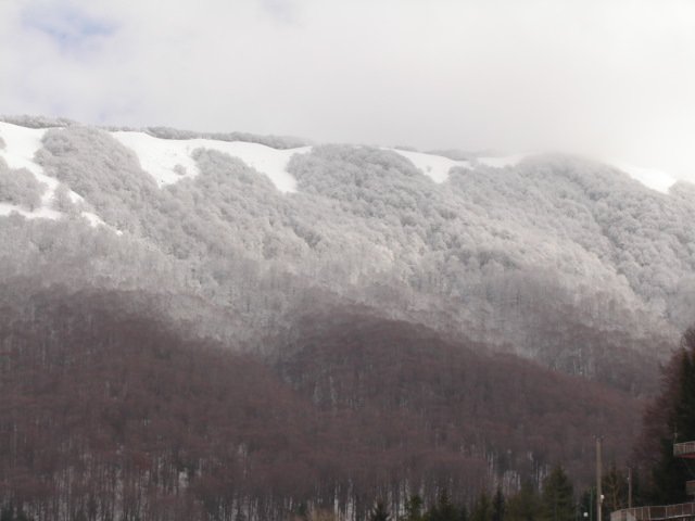 Previsione per il 24 Marzo 2012