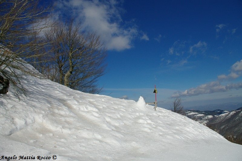 Bollettino neve: accumulo invariato da 2 giorni