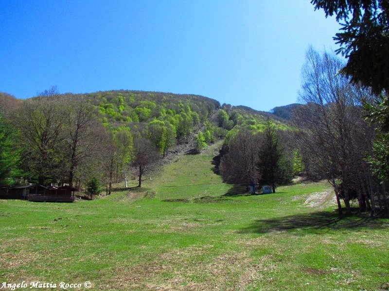 Previsione per il 28 Aprile 2012