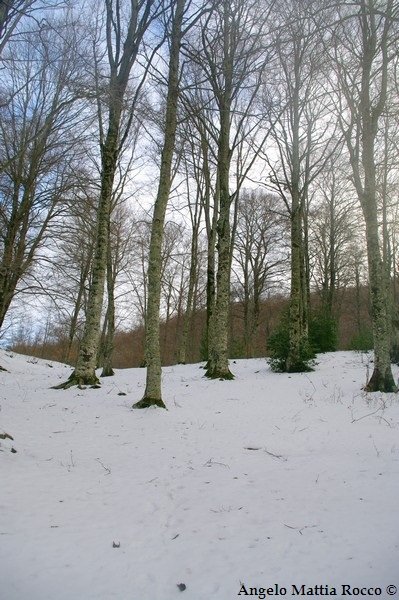 Previsione per il 2 Aprile 2012