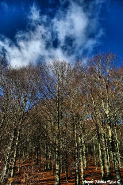 Previsione per il 23 Aprile 2012