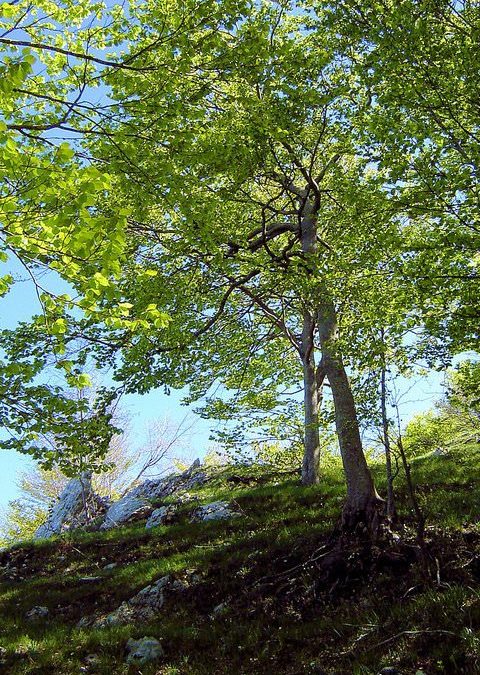 Previsione per il 24 Aprile 2012