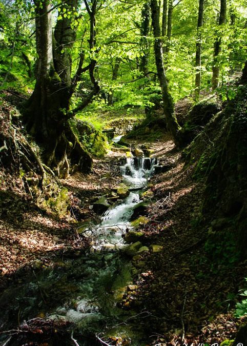 Previsioni per il 25 Aprile 2012