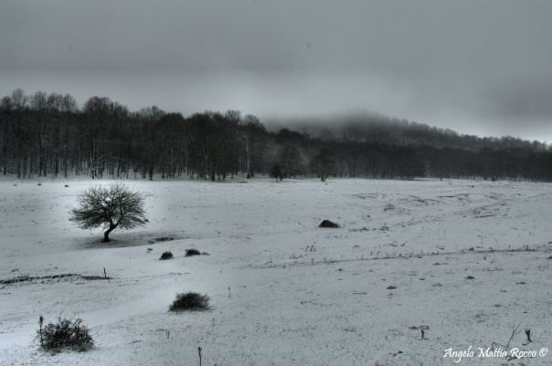 Previsione per l’8 Aprile 2012