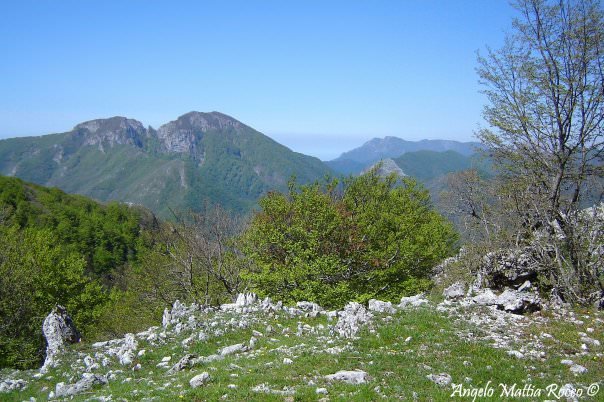 Previsione per il 26 Aprile 2012