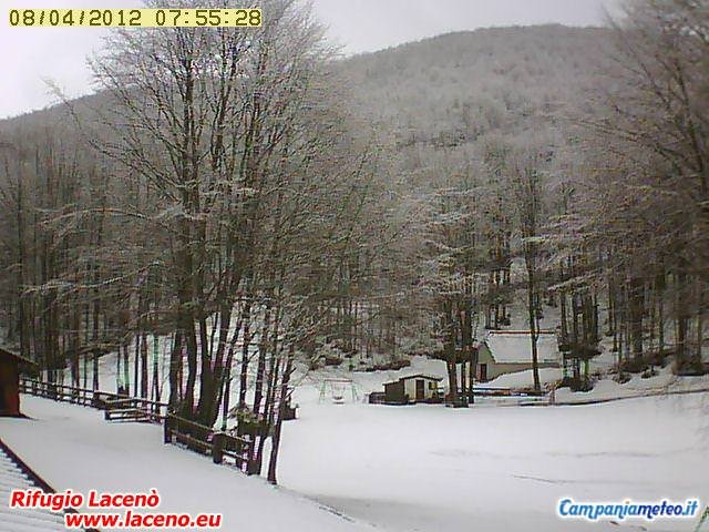 webcam laceno: gli scatti della nevicata di questa notte
