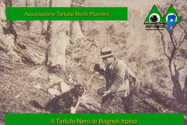 Raccolta tartufi: variazione calendario per il Tuber mesentericum
