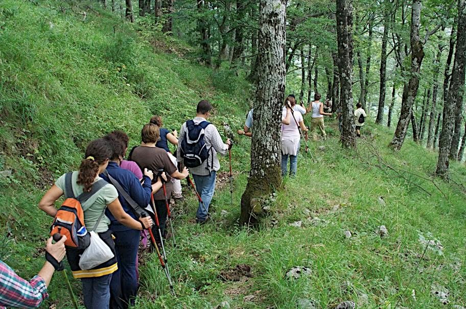 Escursione naturalistica e braciata a Lago Laceno: itinerario, menù, modalità