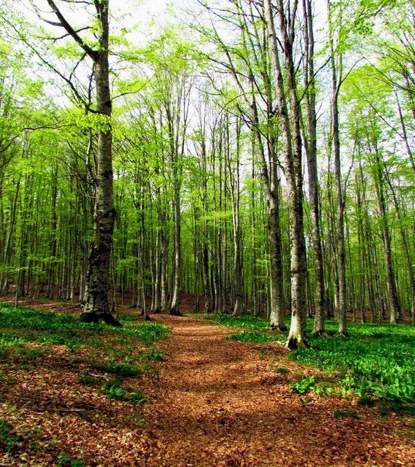 Previsione per il 3 Maggio 2012