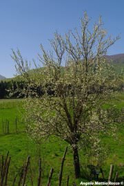 Previsione per il 9 Maggio 2012