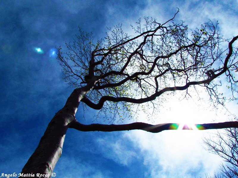 Previsione per il 2 Maggio 2012