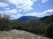 Previsione per il 6 Maggio 2012