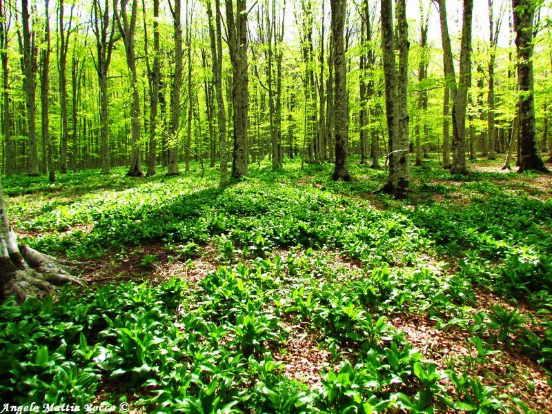 Previsione per il 4 Maggio 2012