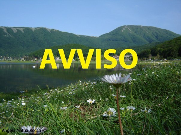 AVVISO: tempi di riattivazione dei servizi