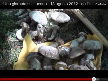 Una giornata sul Laceno a funghi: il video del più grande cercatore campano