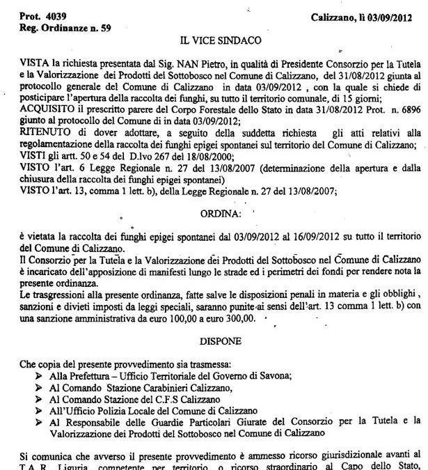 Tutela del sottobosco: andare a funghi prima di 10-15gg può danneggiare la produzione fungina