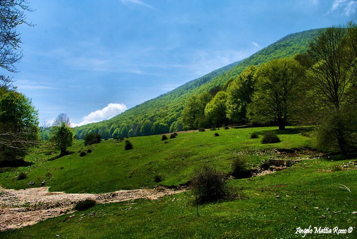 Previsione per il 7 Settembre 2012