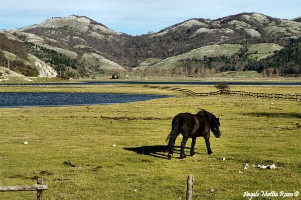 Previsione per il 10 e l’11 Settembre 2012