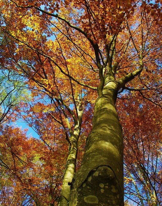 Previsione per il 20 Ottobre 2012