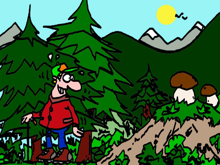 Leggende e usanze popolare boschive da non seguire (soprattutto sui funghi)