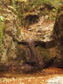 Previsione per l’11 Ottobre 2012