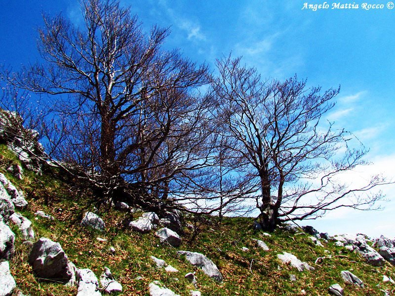 Previsione per il 3 Ottobre 2012