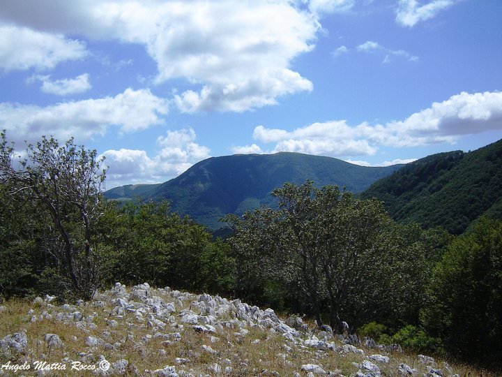 Previsione per il 10 Ottobre 2012