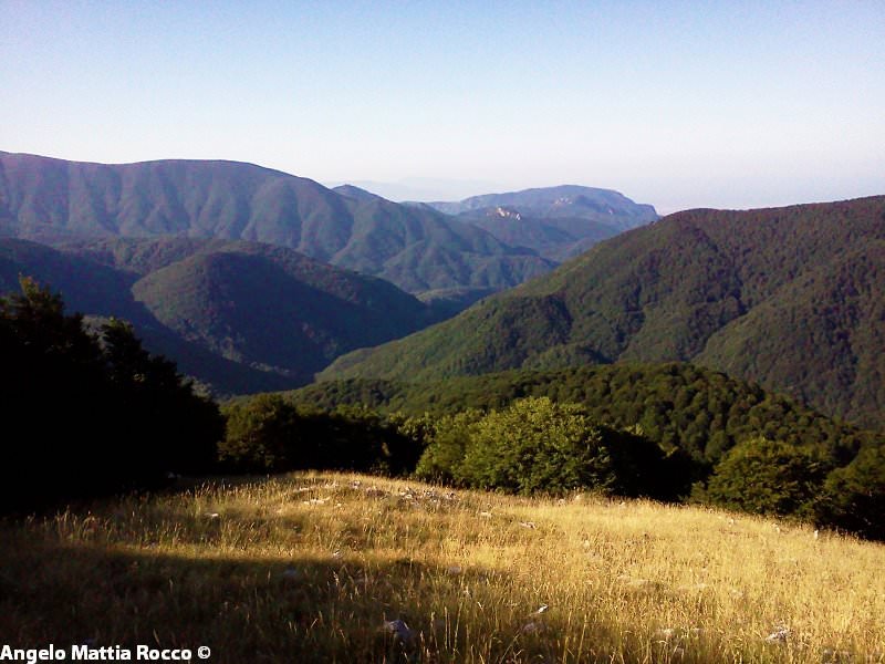 Previsione per il 24 Ottobre 2012