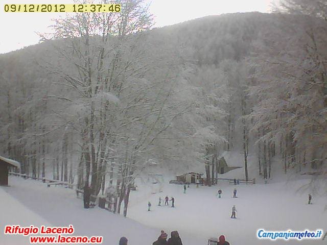 webcam Laceno: giornata stupenda per lo sci e gli amanti della neve