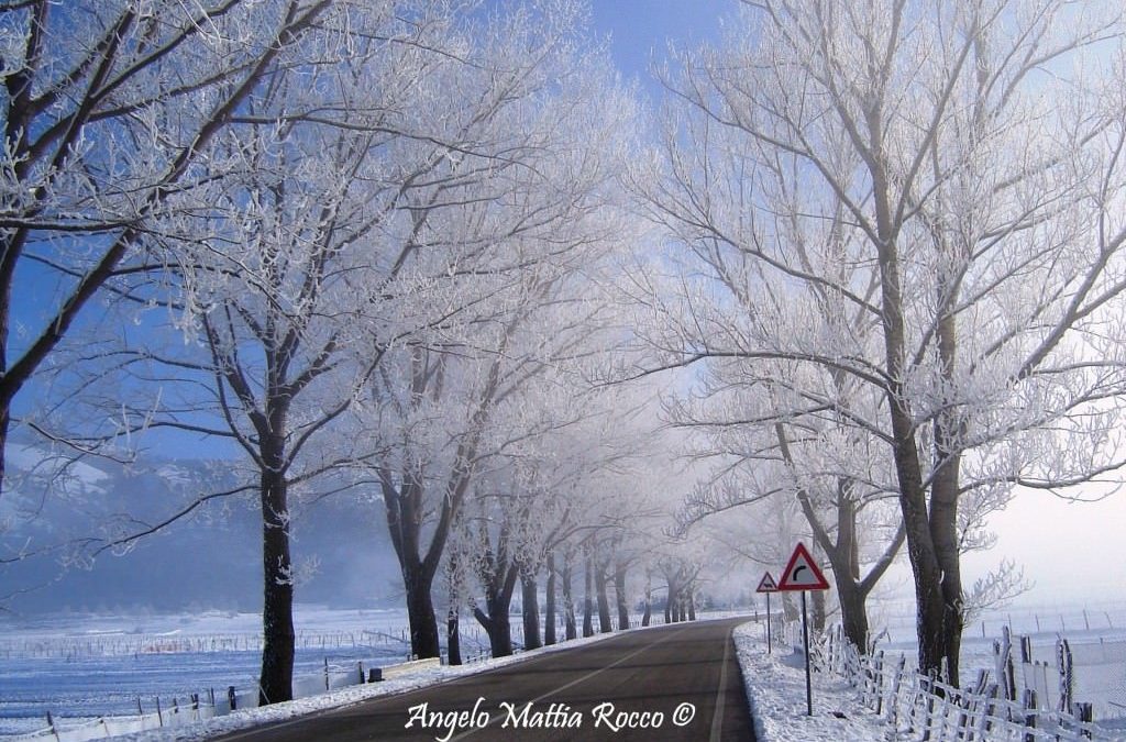 Previsione per il 9 Dicembre 2012