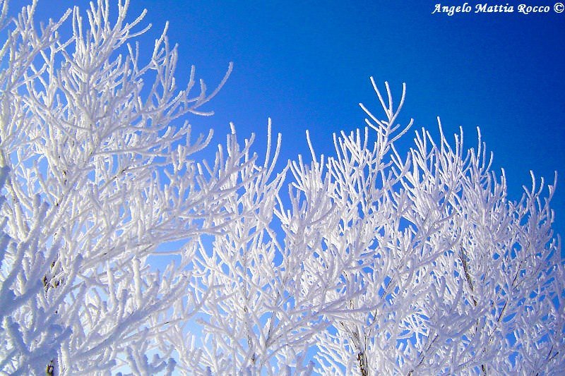 Previsione per il 3 Dicembre 2012