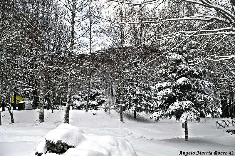 Previsione per il 6 Dicembre 2012