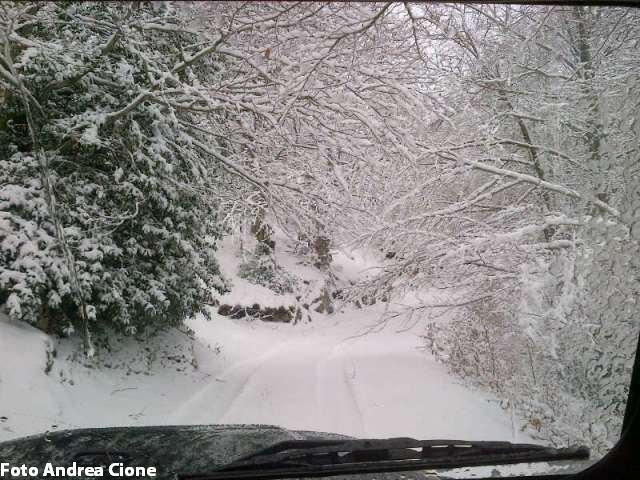Reportage fotografico: nel bianco immacolato delle strade innevate