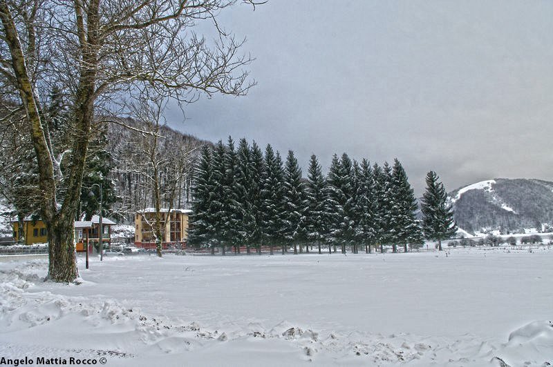 Previsione per l’11 Dicembre 2012