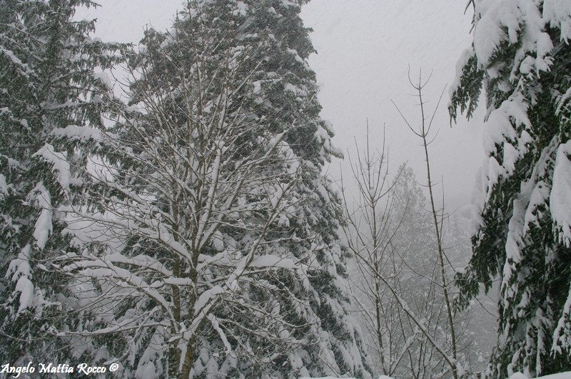 Previsione per il 17 Gennaio 2013