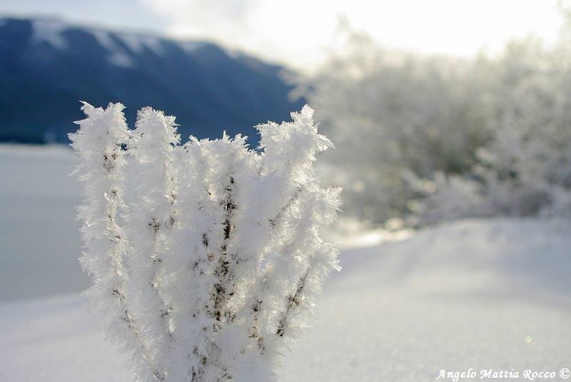 Previsione per il 26 Gennaio 2013