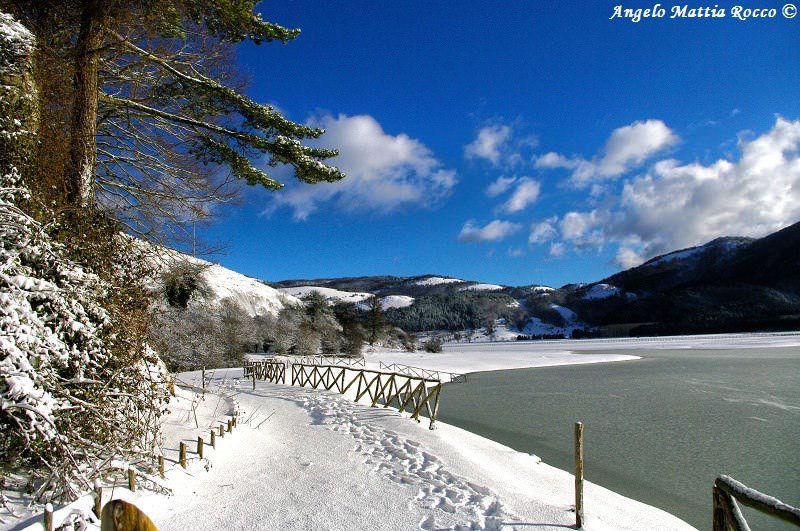 Previsione per il 4 Dicembre 2012