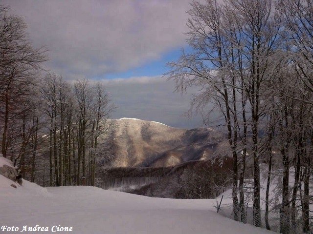 piste-lago-laceno-13-dicembre-2012 (3)
