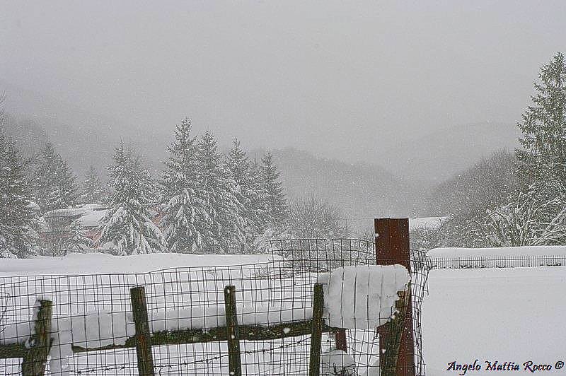 Previsione per il 2 Dicembre 2012