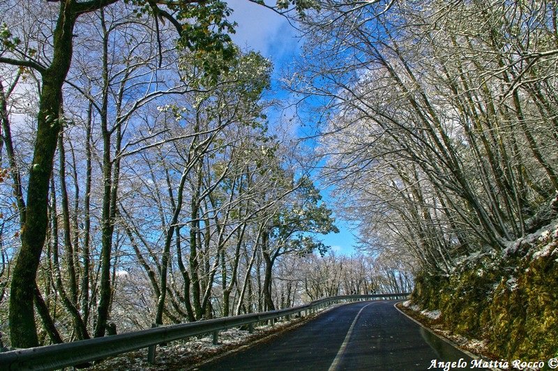 Previsione per il 5 Dicembre 2012