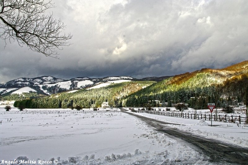 SERVIZIO FOTOGRAFICO: la prima neve a Laceno 3 Dicembre 2012