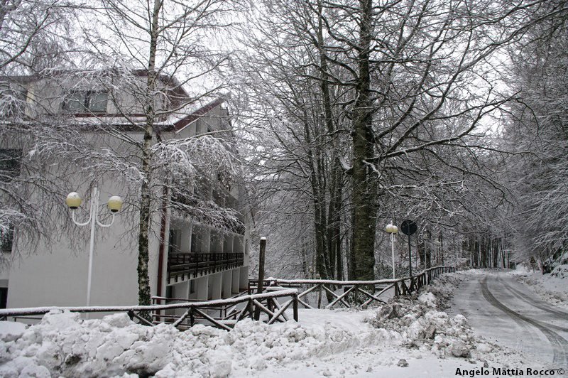 Bollettino neve: dai 20 cm ai 130 cm, sciabilità ancora totale