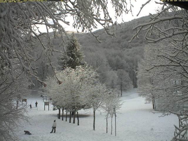 webcam laceno: pausa dei fenomeni, neve abbondante dai 900 m…gli scatti