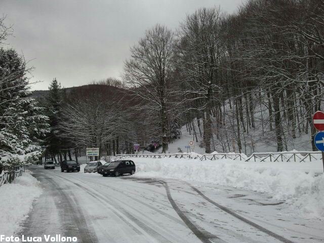 Previsione per il 21 Gennaio 2013