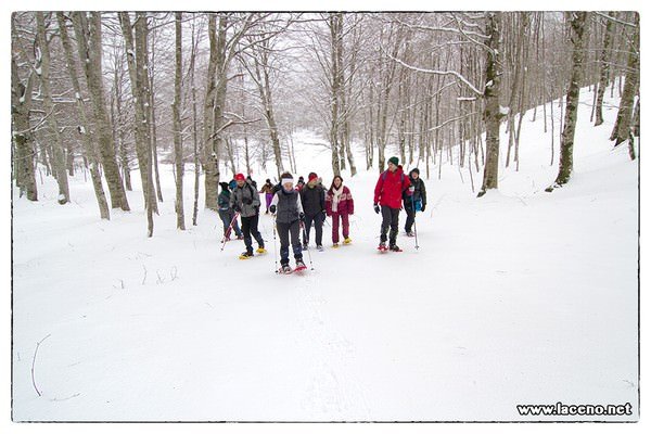 ciaspolata-lago-laceno-27-gennaio-2013 (1)